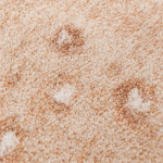 0361BLS201 Spotted Hide Blush Detail