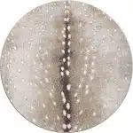 0361GRY296 Spotted Hide Oatmeal with Hint of Gray 8ft Round