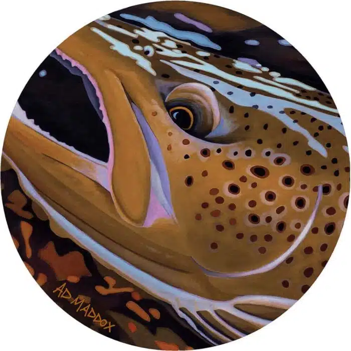 AM0300PNT296 ADMADDOX Rise 8ft round