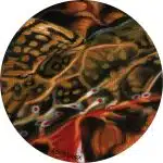AM0301PNT296 ADMADDOX Guise Of A Brook 8ft round