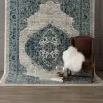 Acropolis Robins Egg (92117 60129) Traditional Rugs