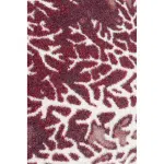 Daydreams Merlot