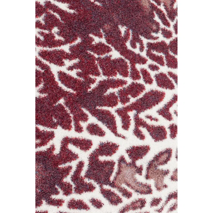 Daydreams Merlot