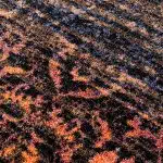 Montreal_Elements_7