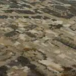 Regency Charcoal