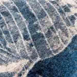 Shell_Island_Ultramarine_6