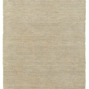 ESSY RUGS ANISTON 27107 Beige/ Beige Area Rugs